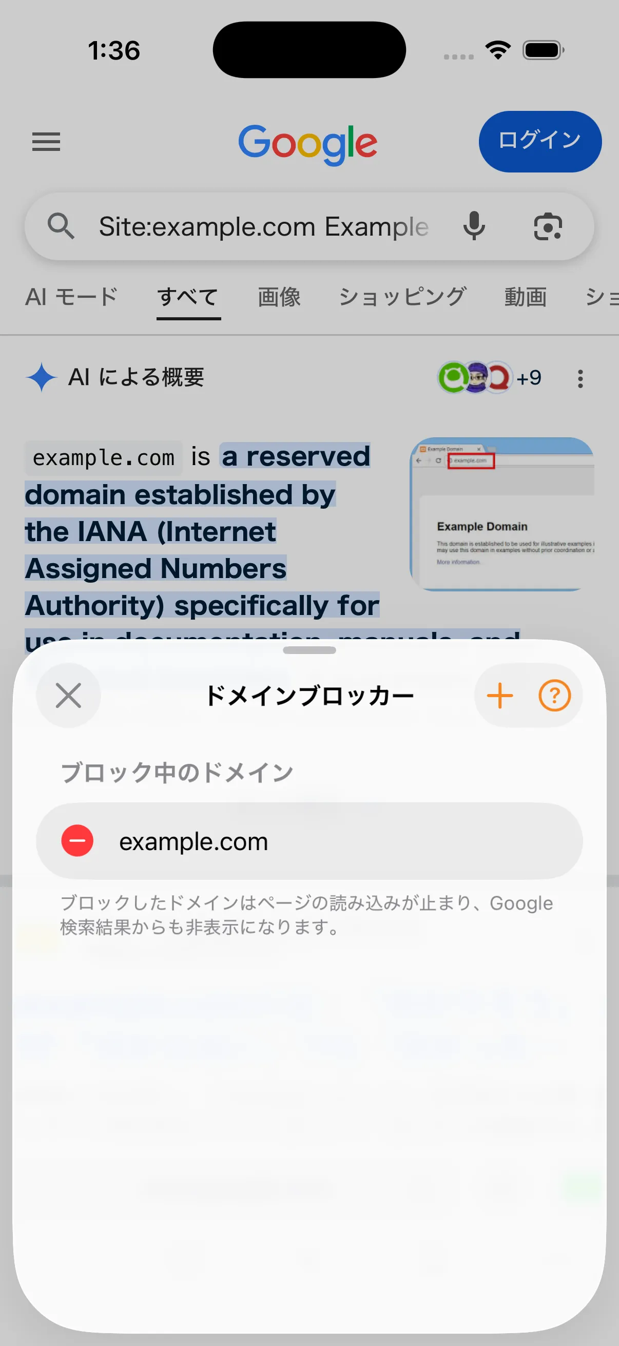 ポルンのドメインブロッカーにexample.comが登録されている画面